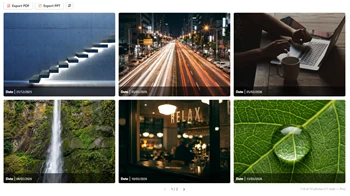 Galería adaptable creada a partir de URLs, con filtrado cruzado y exportación a PDF y PowerPoint en un clic.